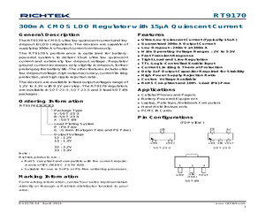 RT9170-12GB.pdf