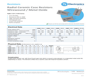 CVW104700JLF.pdf