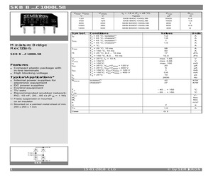 SKBB250C1000L5B.pdf