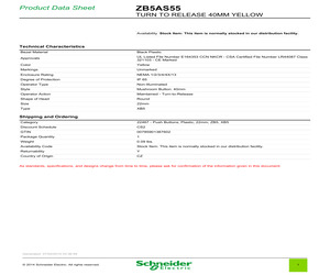 ZB5AS55.pdf