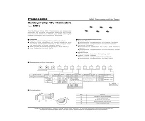 ERTJ0ES104F.pdf