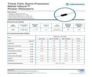 GS-31001431FLFSLT.pdf