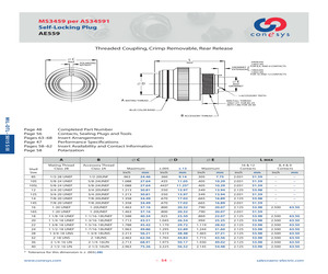 MS3459L20-14PW.pdf