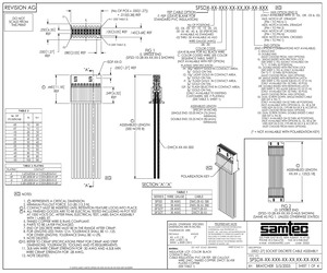 SFSD-05-28-G-10.00-SL.pdf