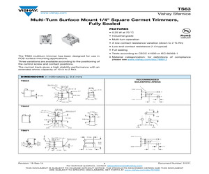 TS63Y-100K-10-D06.pdf