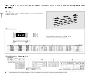 RVC16K2002GB.pdf