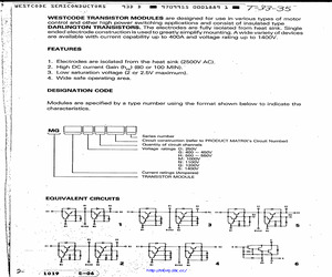 MG100G2YL1.pdf