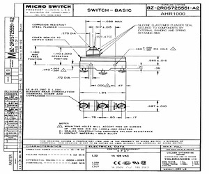 BZ-2RDS725551-A2.pdf