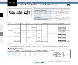 RK08H1110A04.pdf