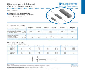 WMO2S-100RJA1.pdf