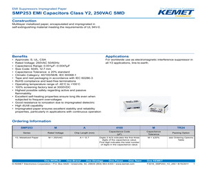 SMP253MA4100MBULK.pdf