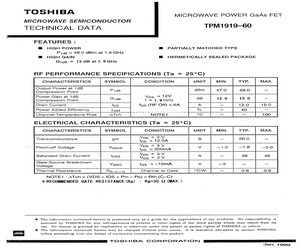 TPM1919-60.pdf