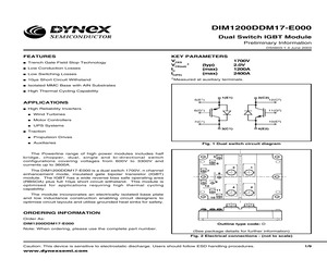 DIM1200DDM17-E000.pdf