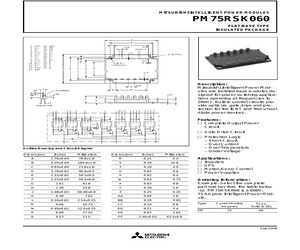 PM75RSK060.pdf