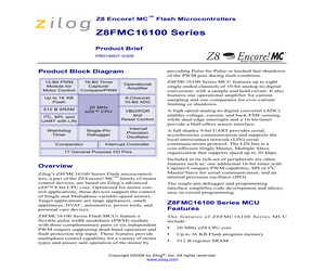 Z8FMC04100AKSG.pdf