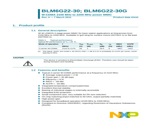 BLM6G22-30G.pdf