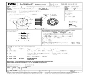 T60405-S6123-X163.pdf