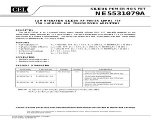 NE5531079A-A.pdf