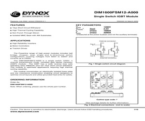 DIM1600FSM12-A000.pdf