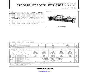 FTS502SP.pdf