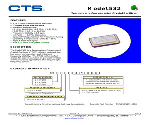 532Y25DS10M000.pdf