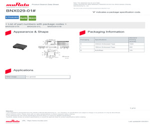 BNX029-01L.pdf