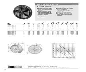 BSP-V.pdf