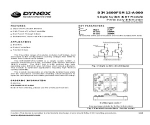 DIM1600FSM12-A000.pdf