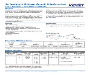 03028BX272AJUL.pdf