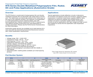 ECA2CHG100B.pdf