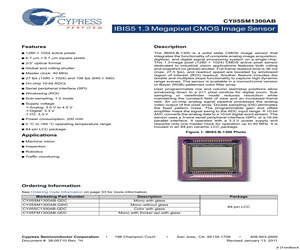 CYII5FM1300AA-QWC.pdf