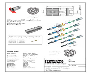 ST-17P1N8A8004S.pdf