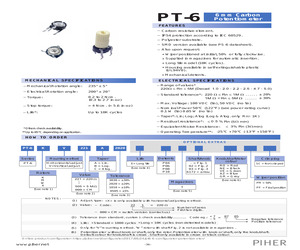 PT-6WH253A2020.pdf