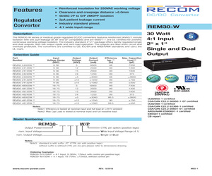 REM30-2412SW.pdf