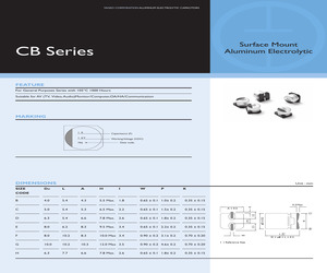 CB035M0100RSH-0607.pdf