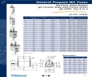 NH0GG69V100P-2.pdf