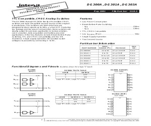 DG300AAAZ/883B.pdf