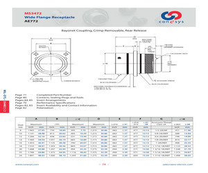 MS3472A18-11AY.pdf