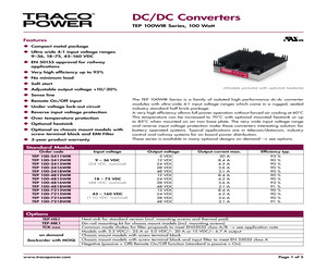 TEP 100-4813WIR.pdf