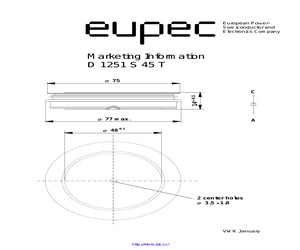 D1251S45T.pdf