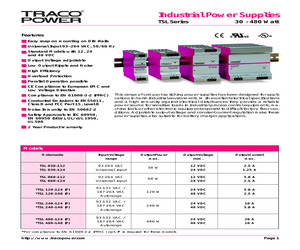 TSL480-124(P).pdf