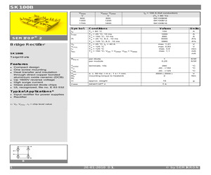 SK100B12.pdf