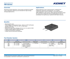 FM0H224ZF.pdf