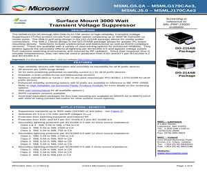 MASMLJ100CAE3.pdf