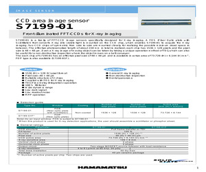 S7199-01.pdf