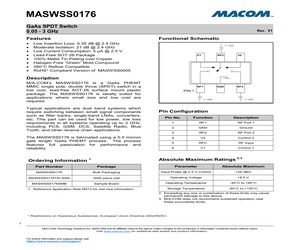 MASWSS0176SMB.pdf