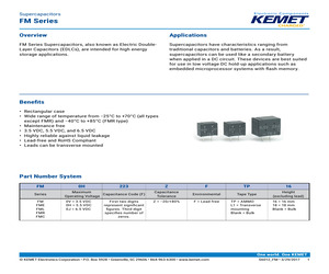 FM0H224ZFTP18.pdf