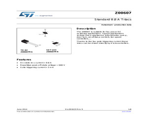 Z00607MN 5AA4.pdf