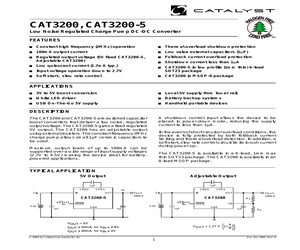 CAT3200ZI-TE13.pdf