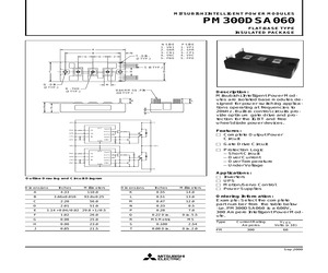 PM300DSA060.pdf